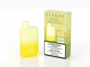 ELF BAR DISPOSABLE BC 5000 Mango Peach