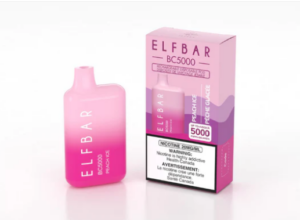 ELF BAR DISPOSABLE BC 5000 Peach Ice